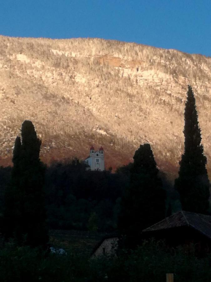 Ansitz Jenner Apartment Appiano Sulla Strada Del Vino Exterior photo